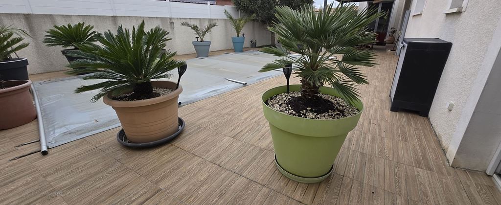 Maison indépendante LEZIGNAN CORBIERES (11200) MY RESEAU IMMO